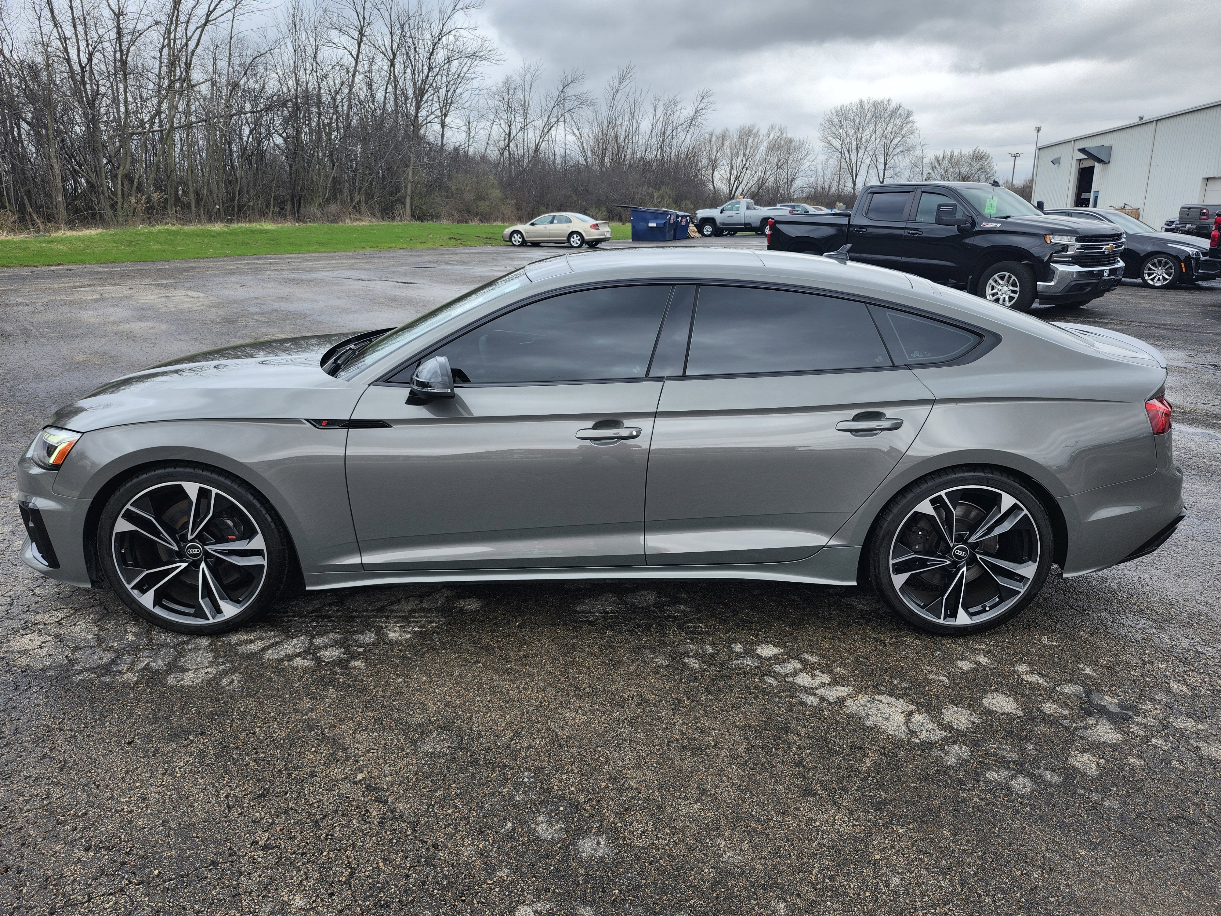 2023 Audi S5 Sportback Premium Plus